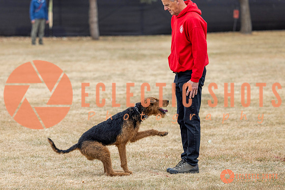 K9Force11.2025-8893