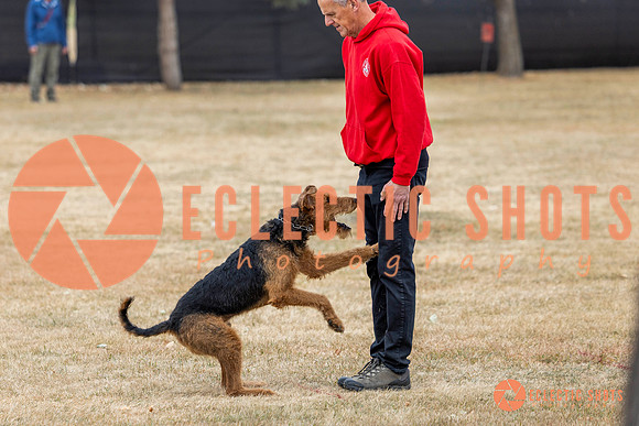 K9Force11.2025-8895