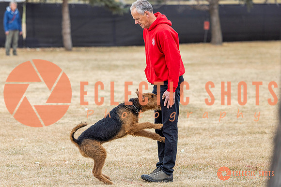 K9Force11.2025-8898