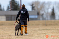 K9Force11.2025-3953