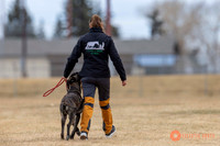 K9Force11.2025-3949
