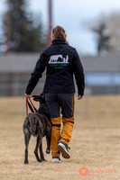 K9Force11.2025-3951