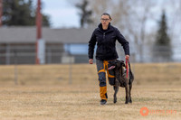 K9Force11.2025-3959