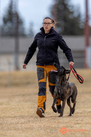 K9Force11.2025-3970