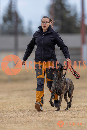 K9Force11.2025-3970