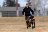 K9Force11.2025-3968