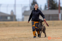 K9Force11.2025-3976