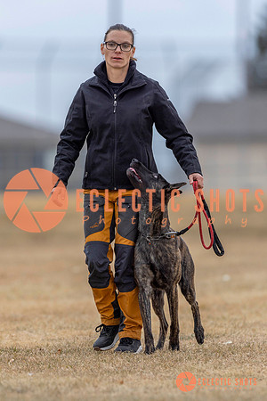 K9Force11.2025-3984