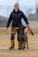 K9Force11.2025-3986