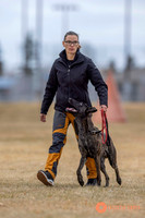 K9Force11.2025-3988