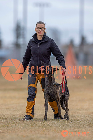 K9Force11.2025-3990