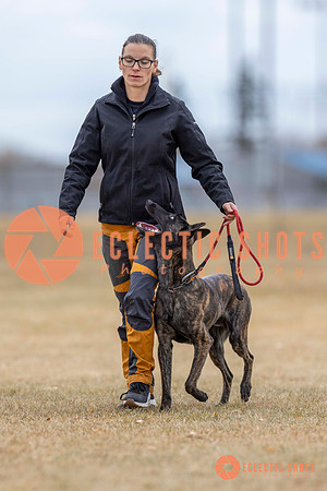 K9Force11.2025-3994