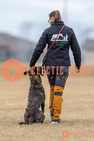 K9Force11.2025-4007