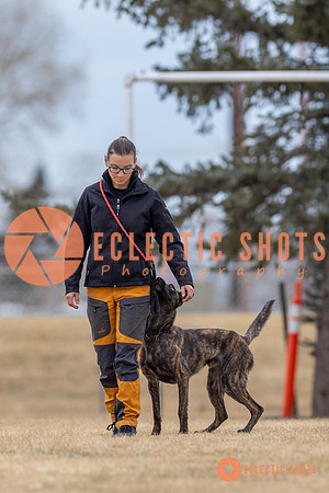 K9Force11.2025-4070