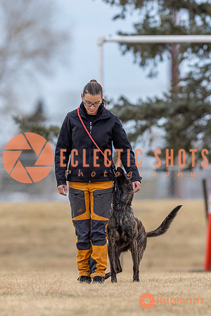 K9Force11.2025-4074