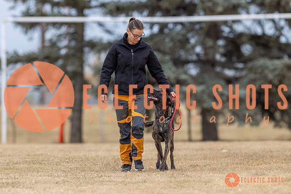 K9Force11.2025-4118