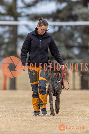 K9Force11.2025-4128