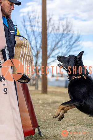 K9Force11.2025-9429