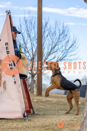 K9Force11.2025-9529