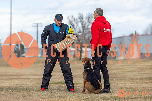 K9Force11.2025-9856
