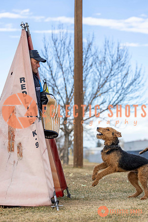 K9Force11.2025-9533