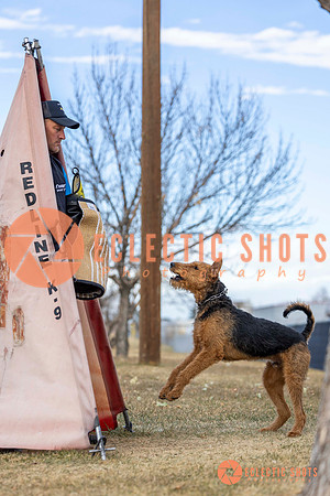 K9Force11.2025-9531