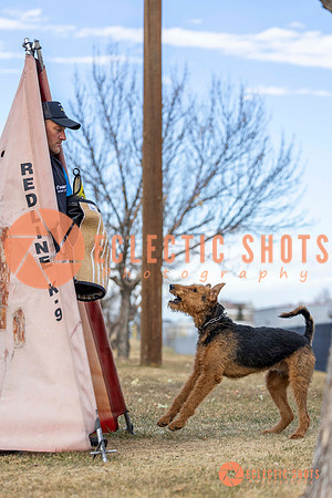 K9Force11.2025-9532