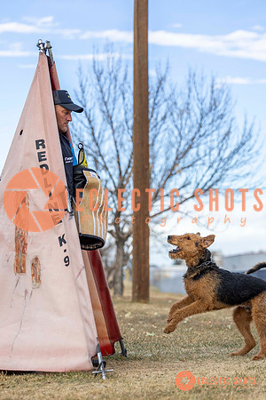 K9Force11.2025-9535