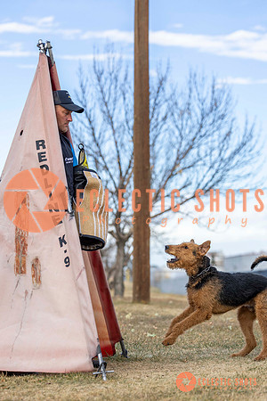 K9Force11.2025-9536