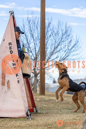 K9Force11.2025-9541