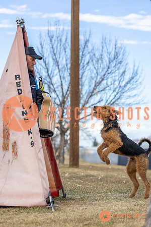 K9Force11.2025-9542