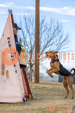 K9Force11.2025-9543