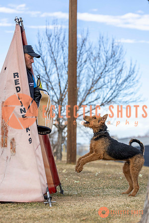 K9Force11.2025-9546