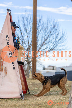 K9Force11.2025-9548