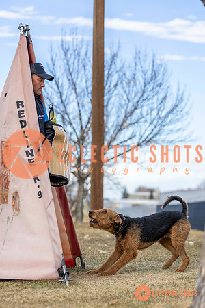 K9Force11.2025-9550
