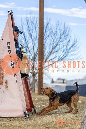 K9Force11.2025-9553