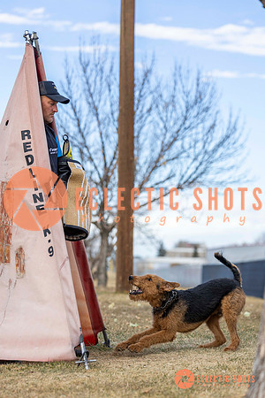 K9Force11.2025-9554