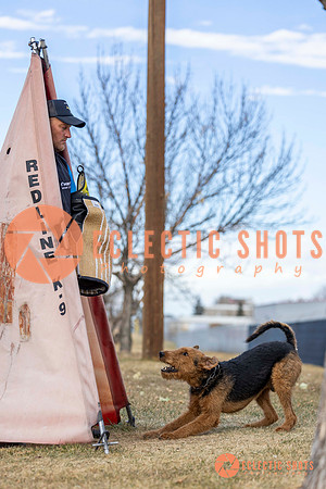 K9Force11.2025-9555