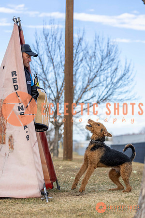 K9Force11.2025-9560