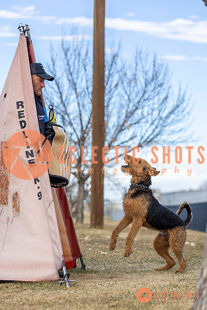 K9Force11.2025-9561