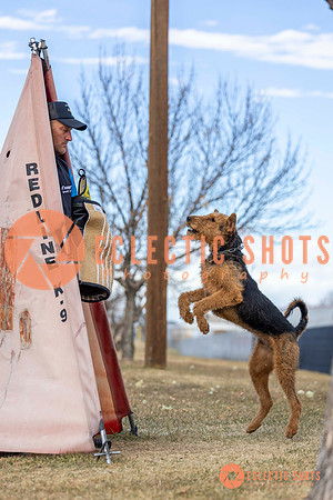 K9Force11.2025-9564