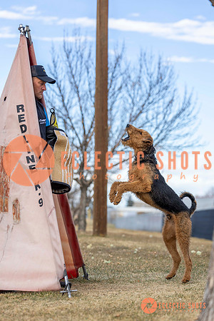 K9Force11.2025-9566