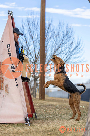 K9Force11.2025-9568