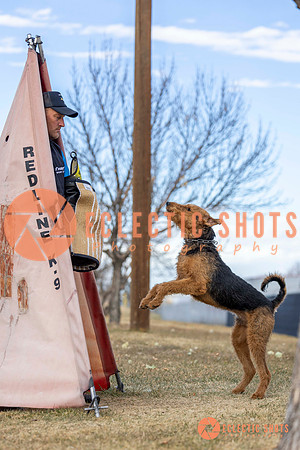 K9Force11.2025-9569
