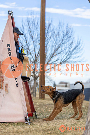 K9Force11.2025-9573