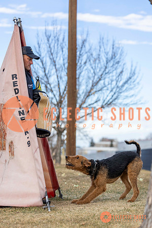K9Force11.2025-9574