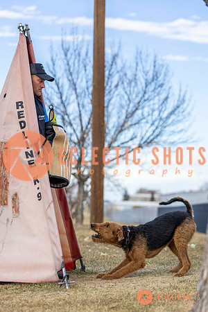 K9Force11.2025-9576