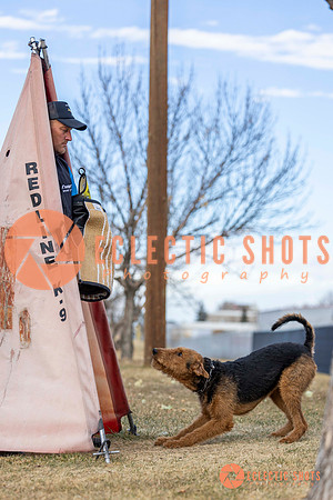 K9Force11.2025-9577