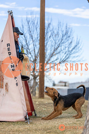 K9Force11.2025-9578