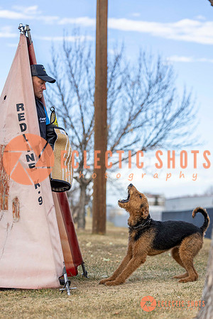 K9Force11.2025-9579